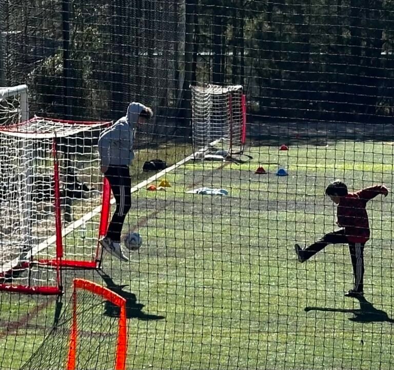 Soccer Field image 2