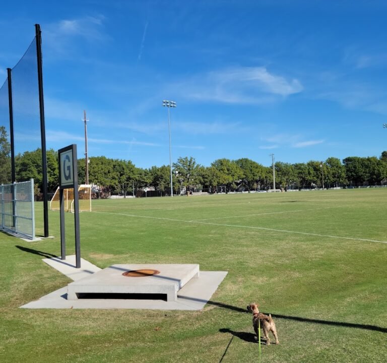 Soccer Field image 2