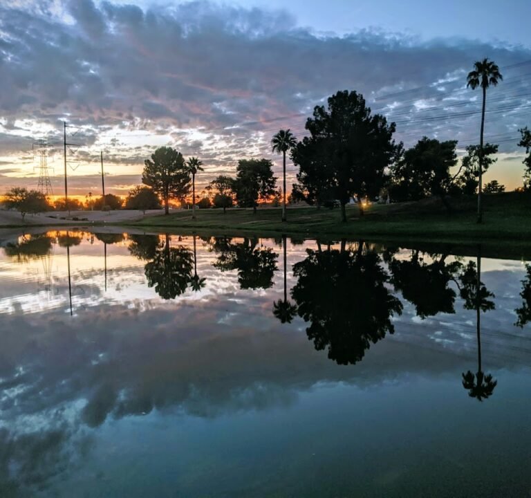 Soccer Field image 3