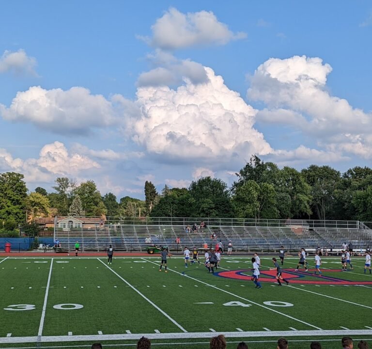 Soccer Field image 2