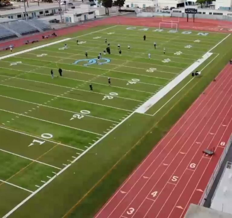 Soccer Field image 2