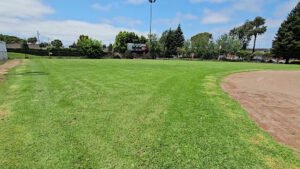 Soccer Field image 1