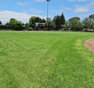 Soccer Field image 3