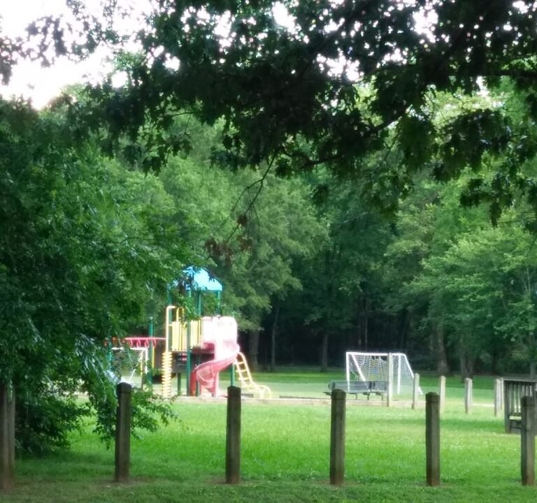 Soccer Field image 2