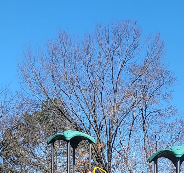 Soccer Field image 3