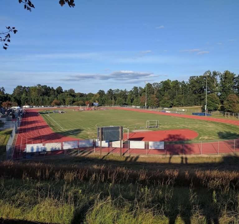Soccer Field image 2