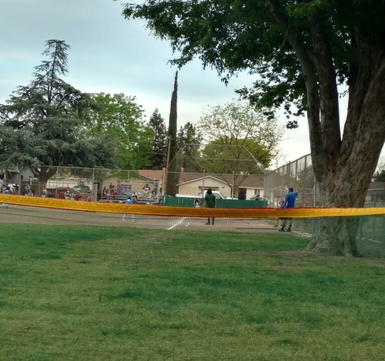 Soccer Field image 2