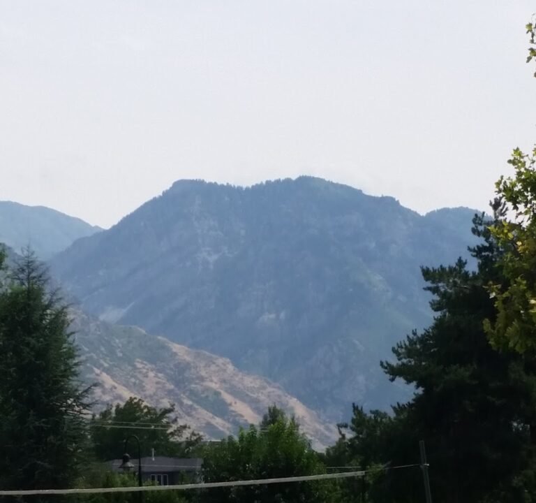 Soccer Field image 3