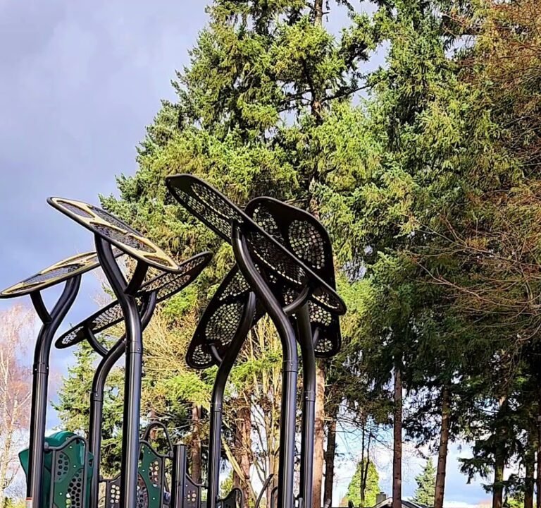 Soccer Field image 2