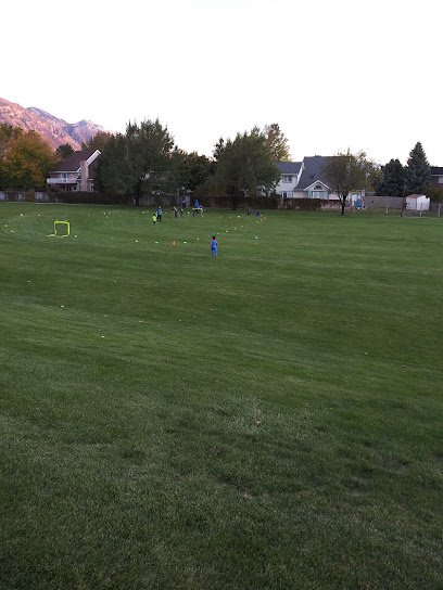 Soccer Field image 1