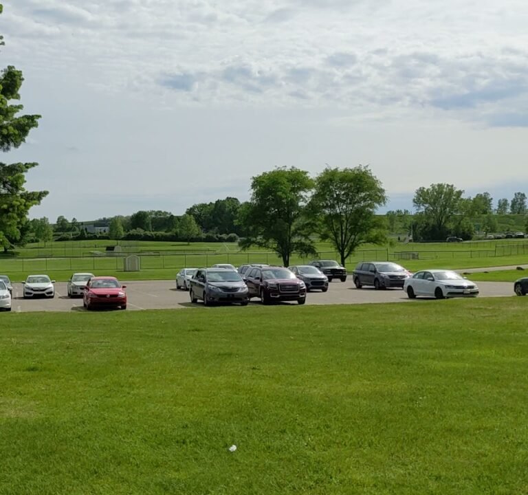 Soccer Field image 4
