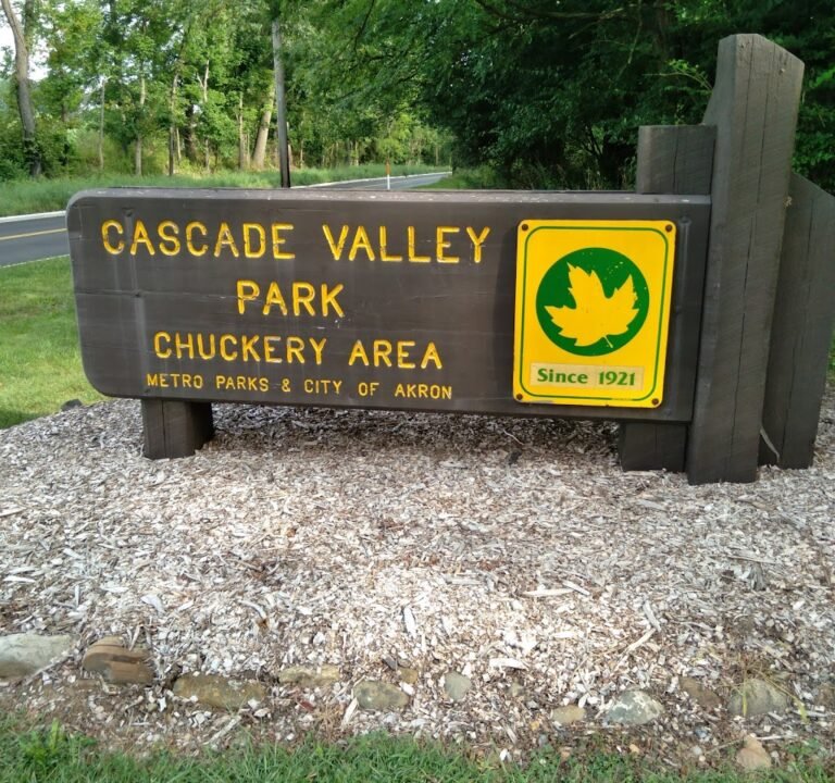 Soccer Field image 2