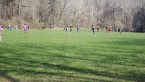 Soccer Field image 1