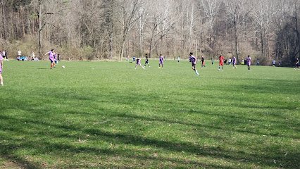 Soccer Field image 1