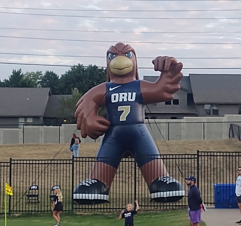 Soccer Field image 2