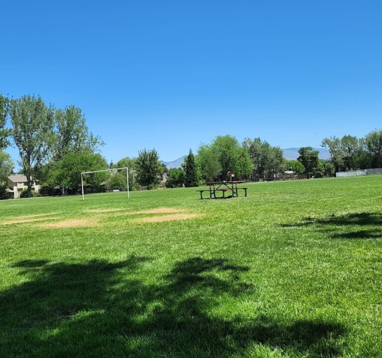 Soccer Field image 2