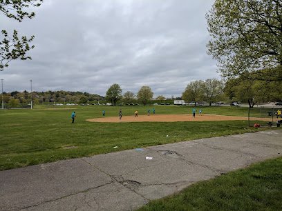 Soccer Field image 1