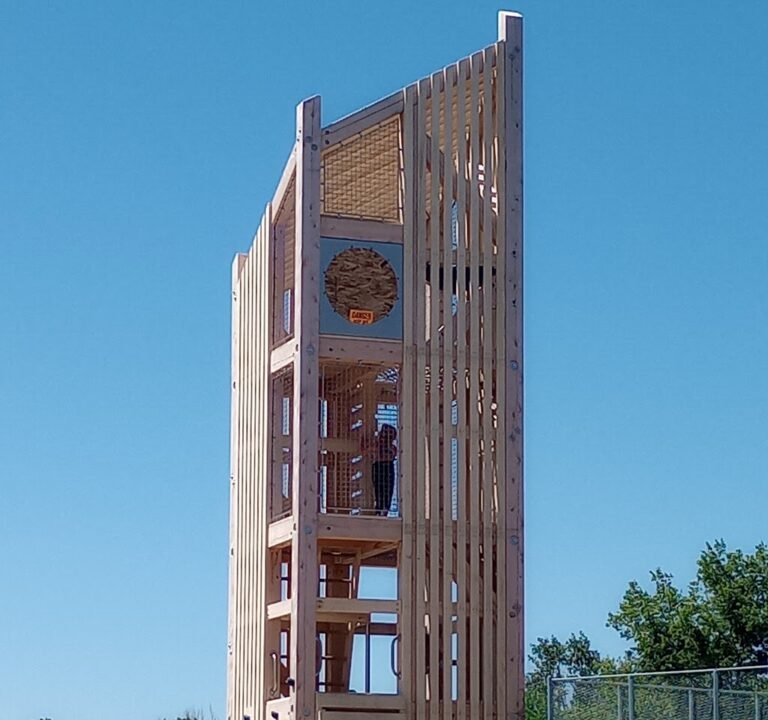 Soccer Field image 2