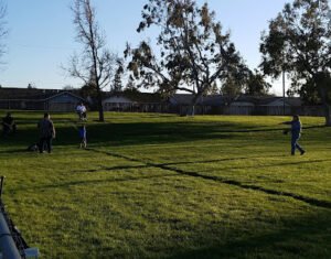 Soccer Field image 1