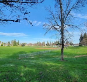 Soccer Field image 2