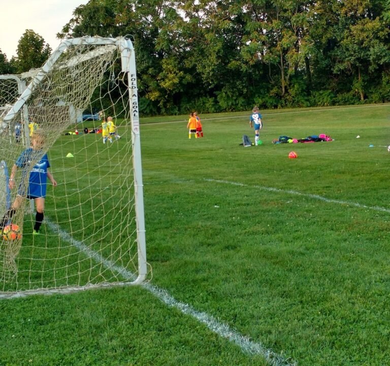 Soccer Field image 2