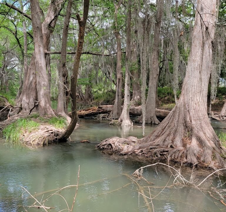 Soccer Field image 2