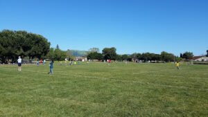 Soccer Field image 1