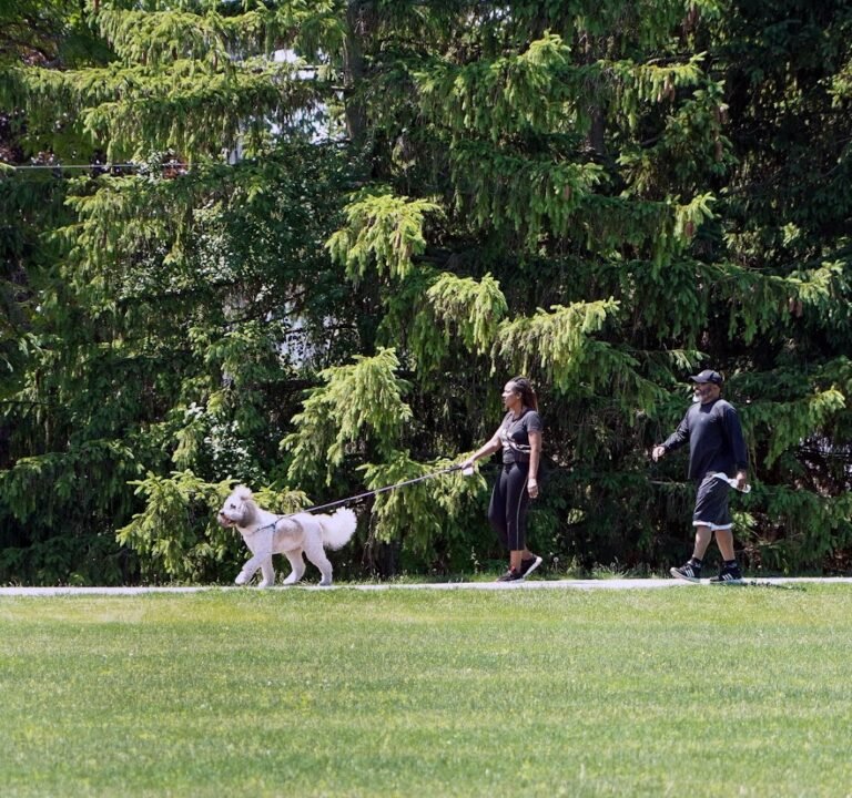 Soccer Field image 2