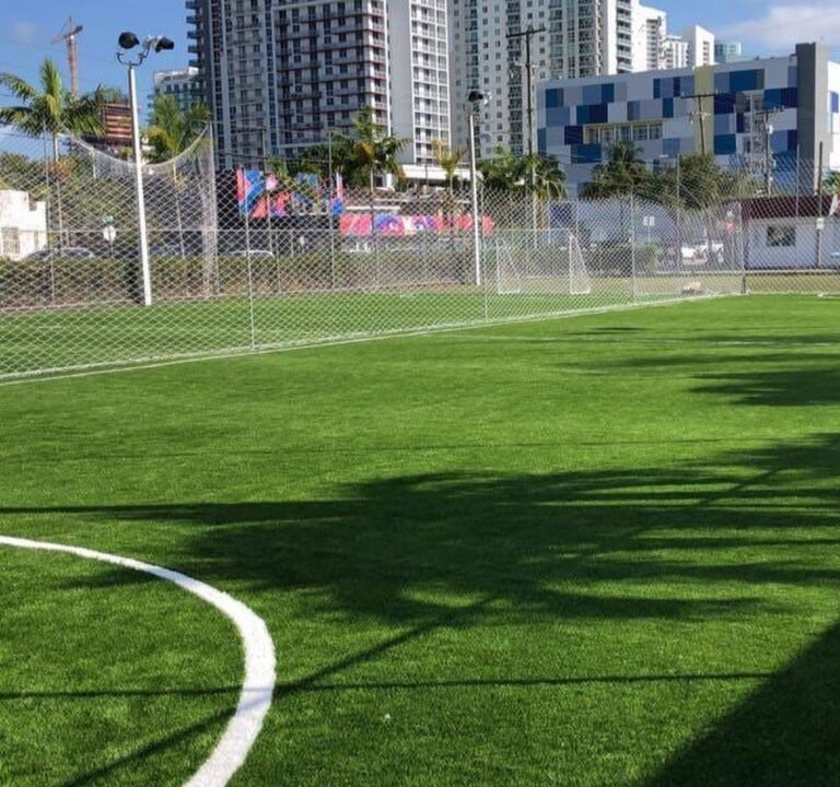 Soccer Field image 2