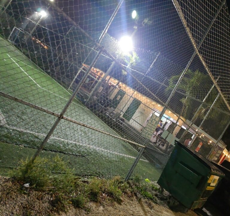 Soccer Field image 3