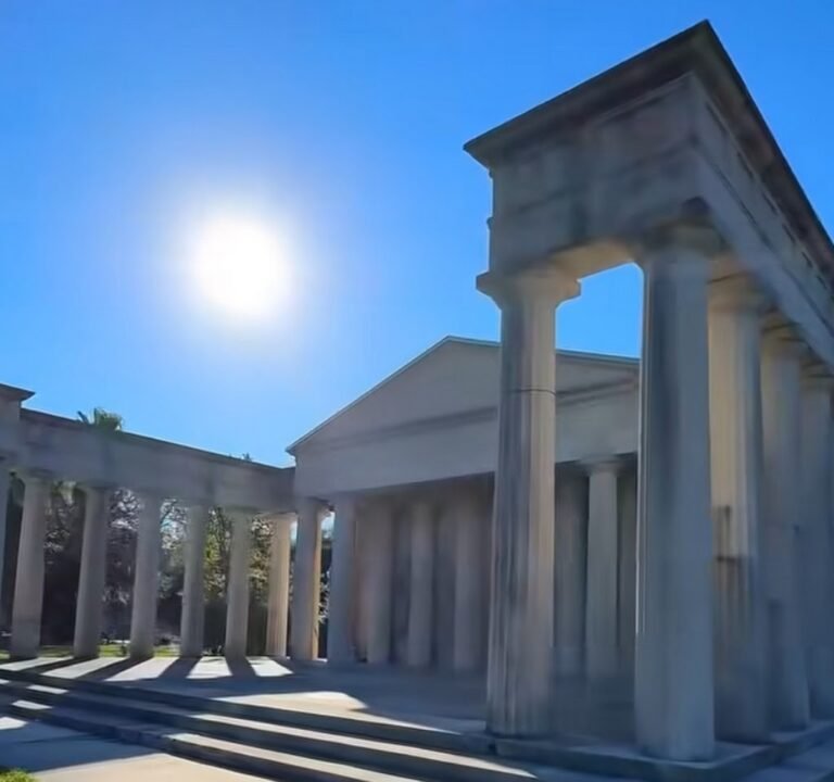 Soccer Field image 2