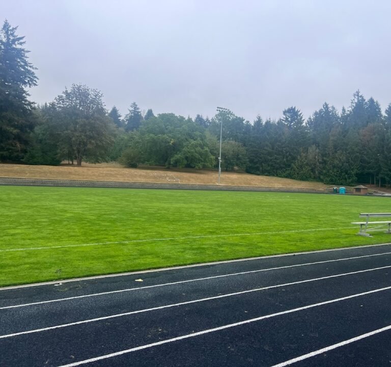 Soccer Field image 2