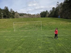 Soccer Field image 1