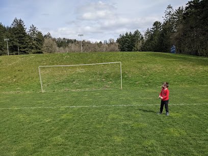 Soccer Field image 1