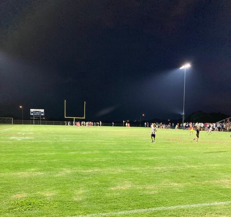 Soccer Field image 3