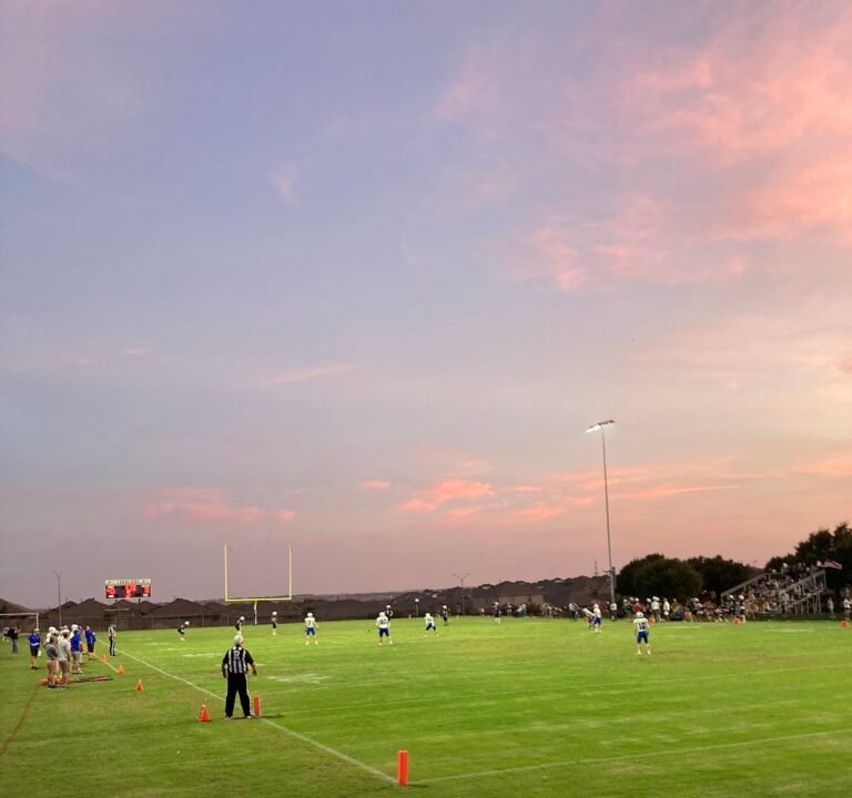 Soccer Field image 2