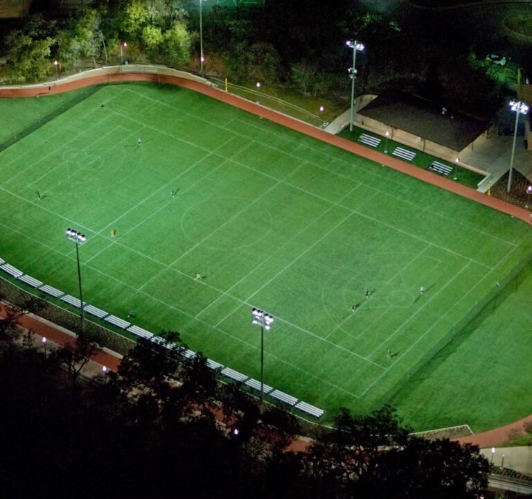 Soccer Field image 2