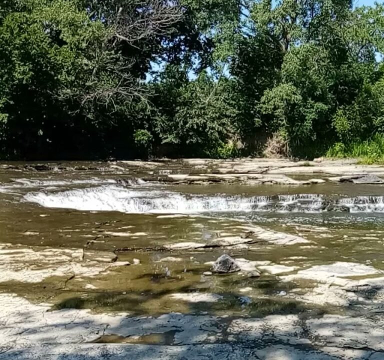 Soccer Field image 4