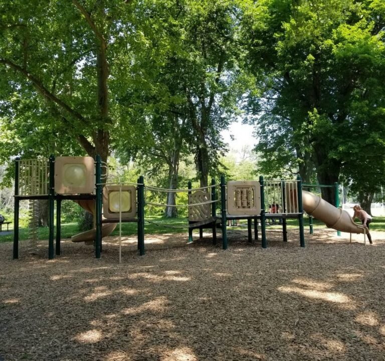 Soccer Field image 2