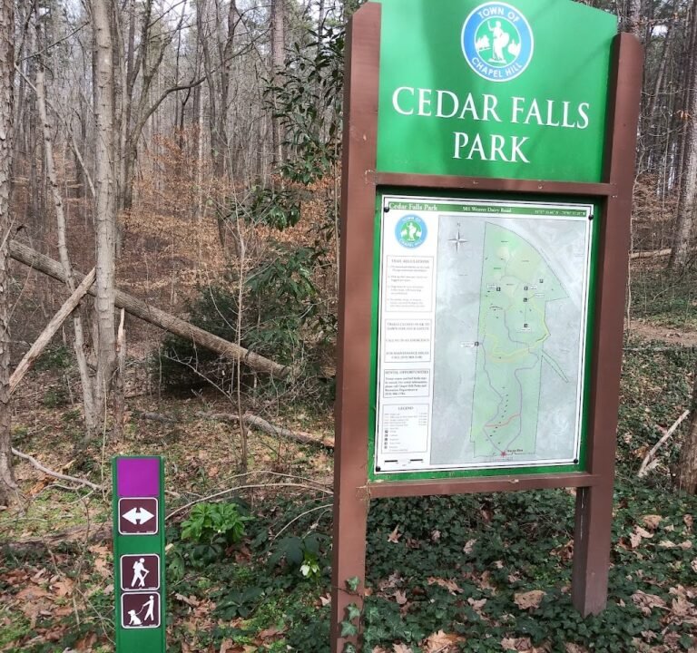 Soccer Field image 3