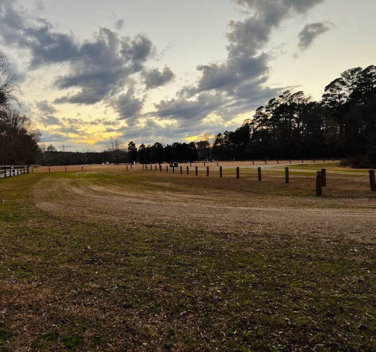 Soccer Field image 2