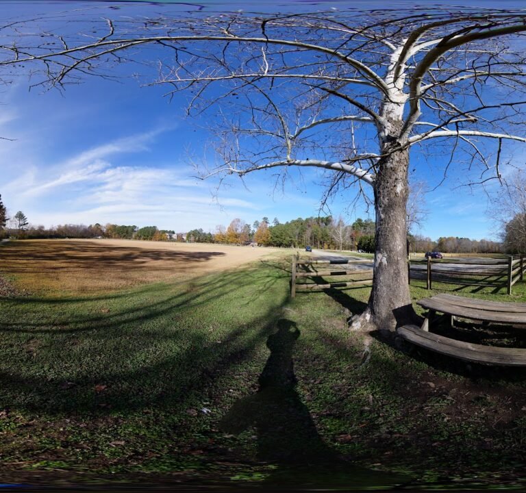 Soccer Field image 3