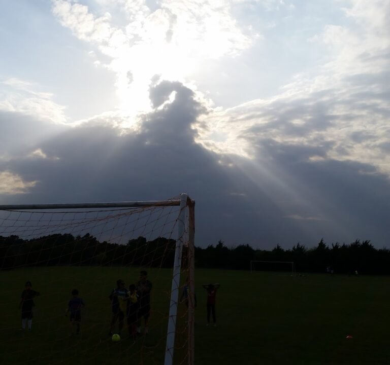 Soccer Field image 2