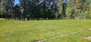 Soccer Field image 1