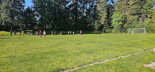 Soccer Field image 1