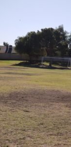 Soccer Field image 1
