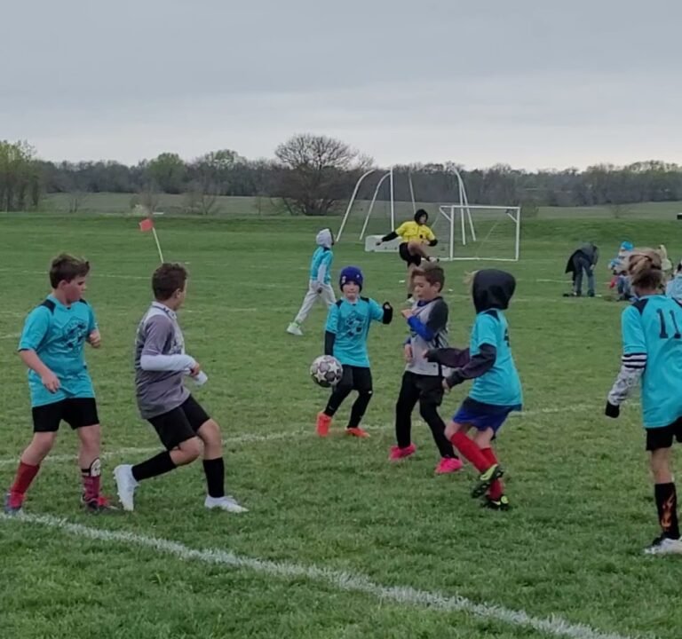 Soccer Field image 4