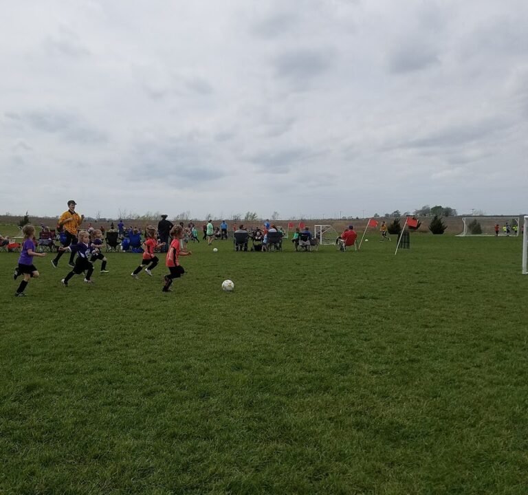 Soccer Field image 3