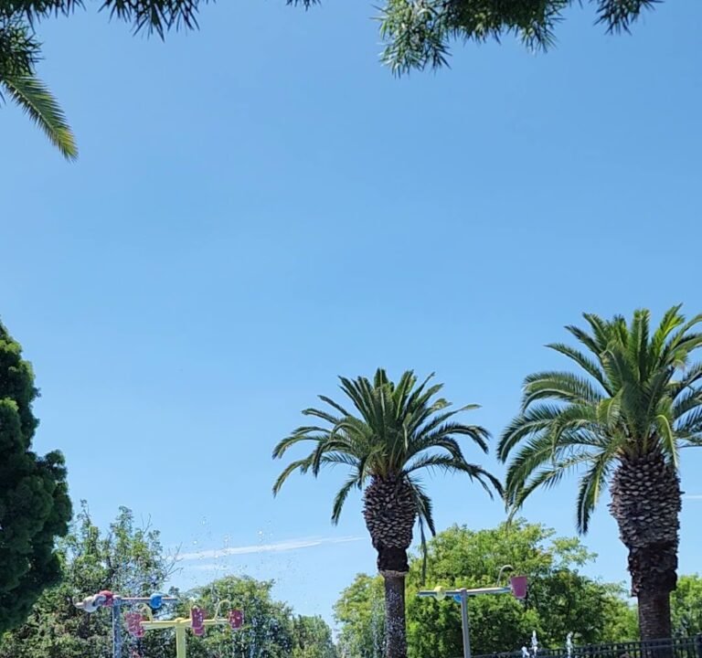 Soccer Field image 4