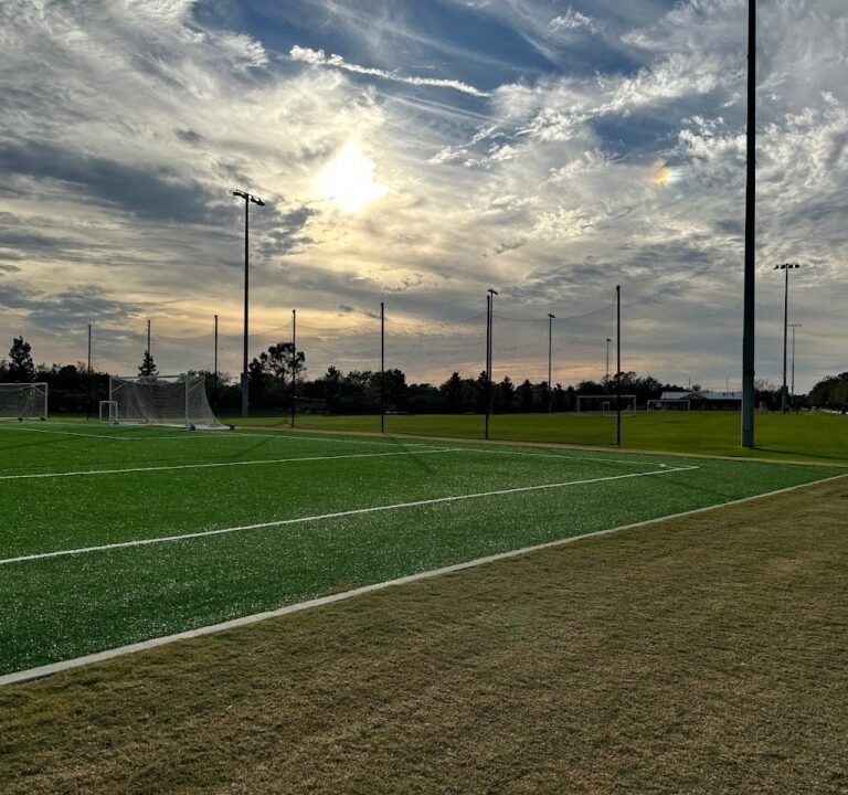 Soccer Field image 2
